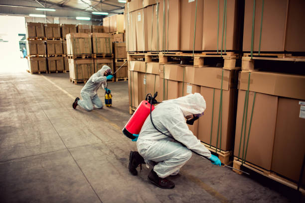 Best Exterminator Services  in Fruit Heights, UT