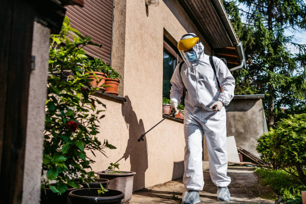 Best Pest Control Near Me in Fruit Heights, UT