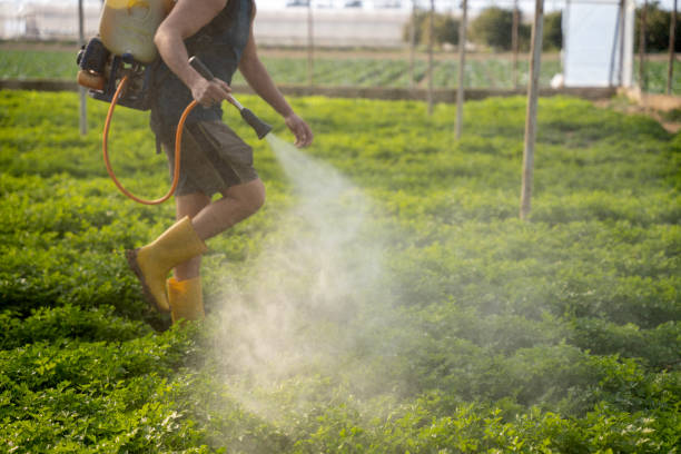 Best Affordable Pest Control Services  in Fruit Heights, UT