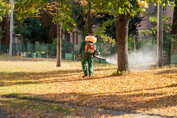 Best Best Pest Control Companies  in Fruit Heights, UT
