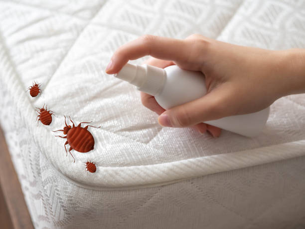 Best Emergency Pest Control  in Fruit Heights, UT